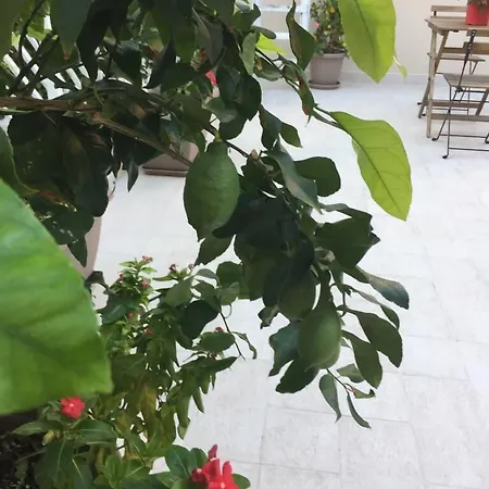 Radici Bed & Breakfast