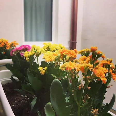 Bed & Breakfast Radici Trani