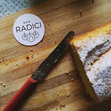 Bed & Breakfast Radici 2*